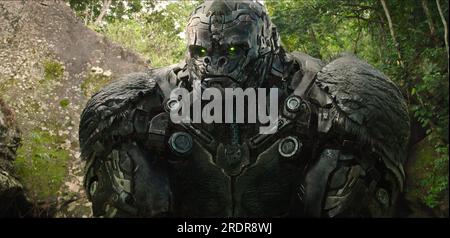 Transformers Rise of the Beasts Gorilla Maximal Foto Stock