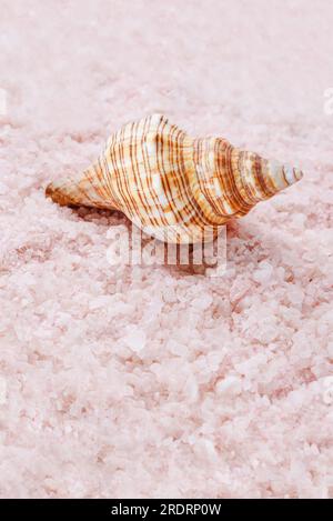 Fondo aromatico rosa Himalayano con struttura di sale marino e conchiglia. Sali da bagno alle erbe fatti in casa. Prodotti cosmetici per il bagno di bellezza e per la cura della pelle per il relax. Natur Foto Stock