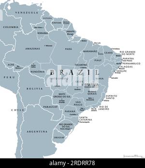 Stati del Brasile, mappa politica grigia. Unità federative con confini e capitali. Entità subnazionali che formano la Repubblica Federativa del Brasile. Foto Stock