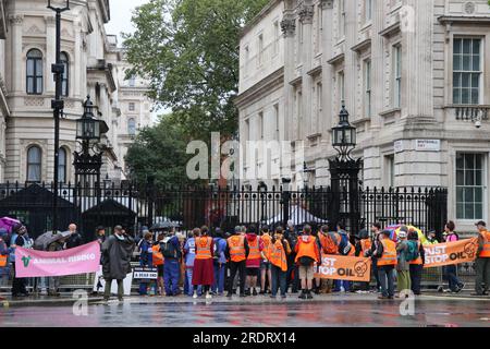 BASTA FERMARE LA PROTESTA DI PETROLIO E ANIMALI A DOWNING STREET A LONDRA IL 22 LUGLIO 2023 Foto Stock