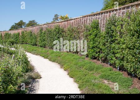 Parabola Fruit Garden The Newt Somerset Foto Stock