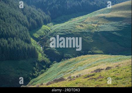 Confluenza dei Pysgotwr Fach e Fawr nella valle del fiume profondamente incisa, Galles centrale, Regno Unito Foto Stock