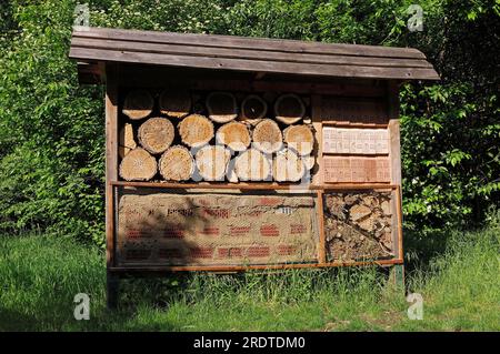 Coadiuvanti per la nidificazione di api selvatiche e altri insetti, insetti hotel, nwand, nstand, apicoltura, Conservazione della natura, Renania settentrionale-Vestfalia, Germania Foto Stock