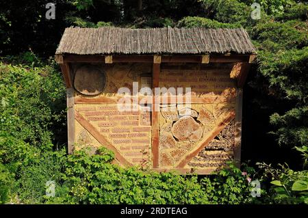 Coadiuvanti per la nidificazione di api selvatiche e altri insetti, insetti hotel, nwand, nstand, apicoltura, Conservazione della natura, Renania settentrionale-Vestfalia, Germania Foto Stock