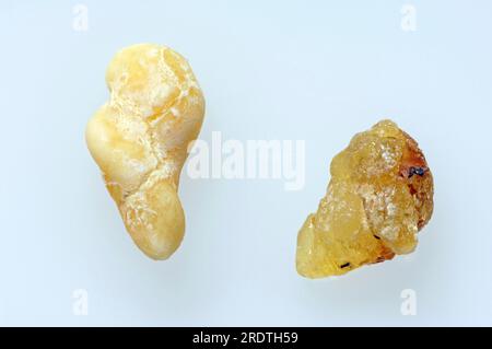 Frankincense (Boswellia sacra) resin, burn incense, esotericism, cut out, object Stock Photo