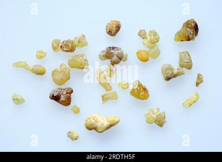 Resina di incenso (Boswellia sacra), incenso bruciato, esoterismo, ritaglio, oggetto Foto Stock