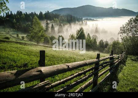 Prato di montagna dei Carpazi coperto di erba primaverile fresca, recinzione in montagna Foto Stock