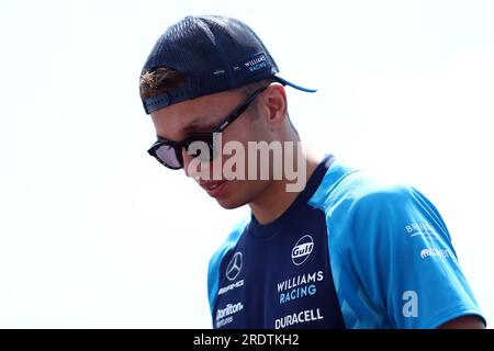 Mogyorod, Ungheria. 23 luglio 2023. Alexander Albon della Williams Racing durante la sfilata dei piloti prima del Gran Premio di F1 d'Ungheria . Crediti: Marco Canoniero/Alamy Live News Foto Stock