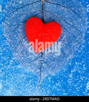 Cuore rosso e scheletro di foglie nel ghiaccio Foto Stock