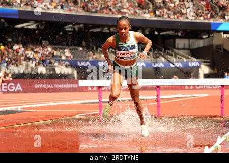 Londra, Regno Unito. 23 luglio 2023. CHEPKOECH, Beatrice KEN si dirige al 2° posto nella 3000m Steeplechase femminile durante la Diamond League Athletics al London Stadium, Queen Elizabeth Olympic Park, Londra, Inghilterra il 23 luglio 2023. Foto di Ken Sparks. Solo per uso editoriale, licenza necessaria per uso commerciale. Nessun utilizzo in scommesse, giochi o pubblicazioni di un singolo club/campionato/giocatore. Credito: UK Sports Pics Ltd/Alamy Live News Foto Stock