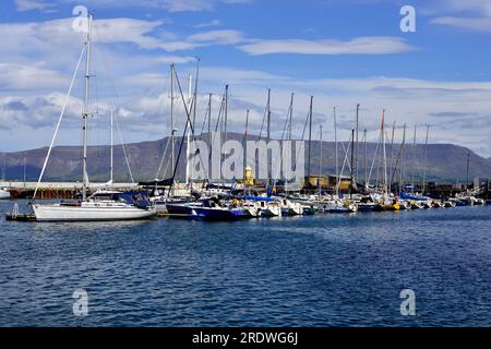 Yacht ormeggiati lungo il molo presso il porto [Harpa] a Reykjavik in Islanda. Foto Stock