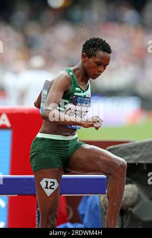 Londra, Regno Unito. 23 luglio 23. Jackline CHEPKOECH (Kenya) gareggia nella 3000m Steeplechase Final femminile al 2023, IAAF Diamond League, Queen Elizabeth Olympic Park, Stratford, Londra, Regno Unito. Crediti: Simon Balson/Alamy Live News Foto Stock