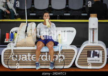 Amburgo, Amburgo, Germania. 23 luglio 2023. MARTINA TREVISAN (ITA) in azione durante l'HAMBURG EUROPEAN OPEN - Womens Tennis, WTA250 (Credit Image: © Mathias Schulz/ZUMA Press Wire) SOLO PER USO EDITORIALE! Non per USO commerciale! Crediti: ZUMA Press, Inc./Alamy Live News Foto Stock