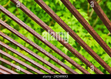 Primo piano di sottili travi di metallo rosso arrugginito e marrone scuro con sfondo verde brillante foglia d'acero Foto Stock