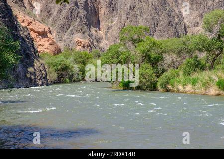 Kazakistan, Charyn (Sharyn) Canyon. Fiume Sharyn alla fine del sentiero escursionistico. Foto Stock