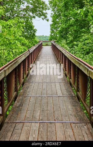 Verticale di boschi che circondano la passerella che conduce alla cima degli alberi che si affaccia sul parco Foto Stock