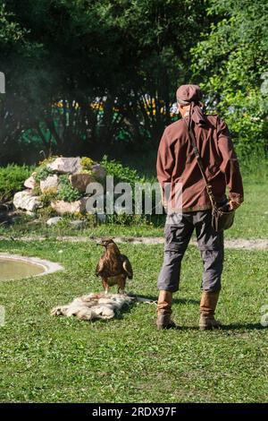 Kazakistan, Almaty. Sunkar Falcon Center Show che mostra il comportamento dell'aquila. Foto Stock