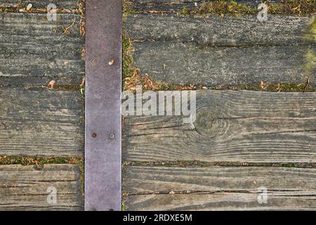 Tavole di legno usurate sul percorso con muschio che cresce tra le lamelle e la cinghia di metallo con viti Foto Stock