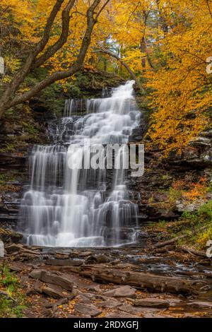 Ganoga Falls in autunno, Ricketts Glen state Park, Pennsylvania Foto Stock