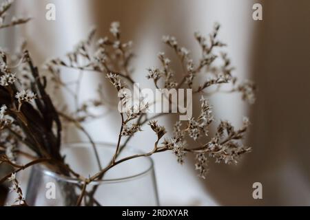 Bouquet appassito con piccoli fiori secchi bianchi e rami in vaso di vetro contro la parete beige da vicino. Concetto di riduzione e sbiadimento. Stile vintage retrò Foto Stock