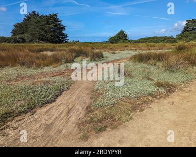 C) Denis TRASFI / MAXPPP - Francia, Bretagne, Morbihan, île d'Arz (à proximité de l'Île-aux-Moines) le 22 juillet 2023 - Différents Sentiers de randon Foto Stock