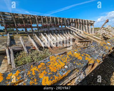 © Denis TRASFI / MAXPPP - Francia, Bretagne, Morbihan, île d'Arz (à proximité de l'Île-aux-Moines) le 22 juillet 2023 - Epave d'un vieux bateau / fra Foto Stock