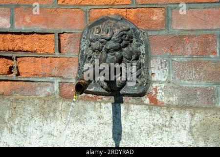 Fontana di leone di pietra con acqua che scorre contro un muro di mattoni alla luce del giorno Foto Stock