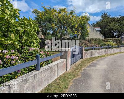 © Denis TRASFI / MAXPPP - Francia, Bretagne, Morbihan, île d'Arz (à proximité de l'Île-aux-Moines) le 22 juillet 2023 - Jardin fleuri de l'île avec d Foto Stock