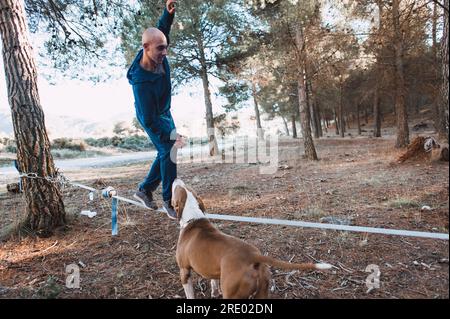 Un uomo che cammina attraverso slackline con il suo cane nella foresta in primavera in spagna Foto Stock