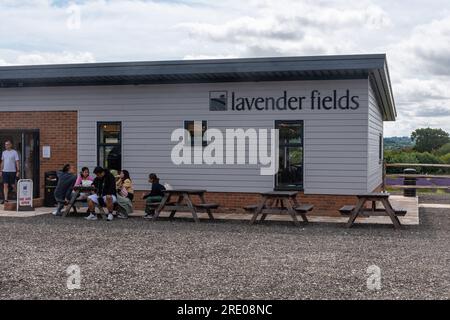 Centro visitatori e caffetteria Lavender Fields all'Hartley Farm Park vicino a Selborne, Hampshire, Inghilterra, Regno Unito Foto Stock