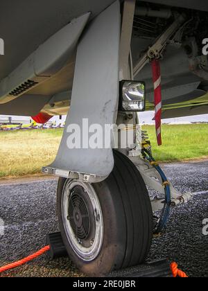 New Royal Air Force Eurofighter Typhoon T.1 ZJ808 del 29 (R) Squadron subito dopo essere entrato in servizio nel 2005. Unità di conversione operativa tifone (OCU) Foto Stock