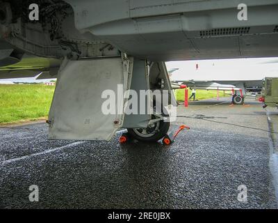 New Royal Air Force Eurofighter Typhoon T.1 ZJ808 del 29 (R) Squadron subito dopo essere entrato in servizio nel 2005. Unità di conversione operativa tifone (OCU) Foto Stock