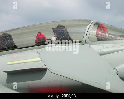 New Royal Air Force Eurofighter Typhoon T.1 ZJ808 del 29 (R) Squadron subito dopo essere entrato in servizio nel 2005. Unità di conversione operativa tifone (OCU) Foto Stock