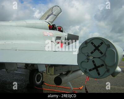 New Royal Air Force Eurofighter Typhoon T.1 ZJ808 del 29 (R) Squadron subito dopo essere entrato in servizio nel 2005. Unità di conversione operativa tifone (OCU) Foto Stock