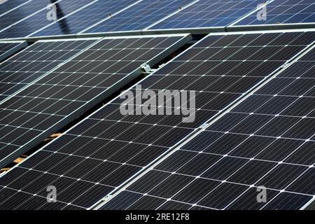 Pannello solare che converte la luce solare in elettricità utilizzando celle fotovoltaiche, messa a fuoco selettiva Foto Stock