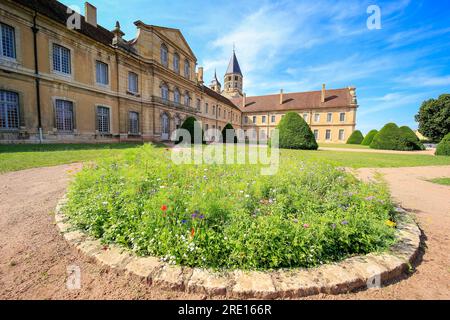 Abbazia e terreni a Cluny, Borgogna, Francia Foto Stock