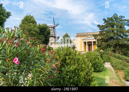 Potsdam, Germania. 24 luglio 2021. Storico mulino a vento al Palazzo Sanssouci di Potsdam. Foto Stock