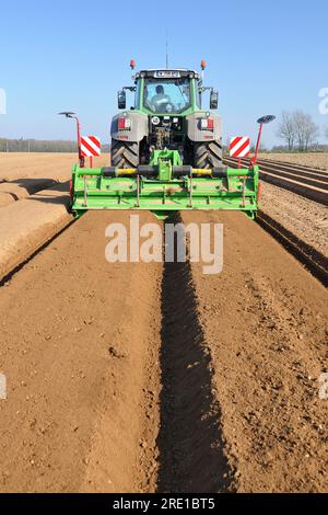 Piantagione di patate, semina meccanizzata con trattore e passaggio della pedana di scavo che prepara 2 creste, terreno sollevato, per 4 file. Foto Stock