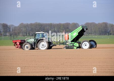 Piantagione di patate, semina meccanizzata con trattore. Foto Stock