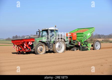 Piantagione di patate, semina meccanizzata con trattore. Foto Stock