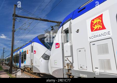 Passaggio di un treno intercity sulla ferrovia ad alta velocità SNCF “TGV” che collega Parigi, Rouen e le Havre, a le Houlme (Normandia, Francia settentrionale) Foto Stock