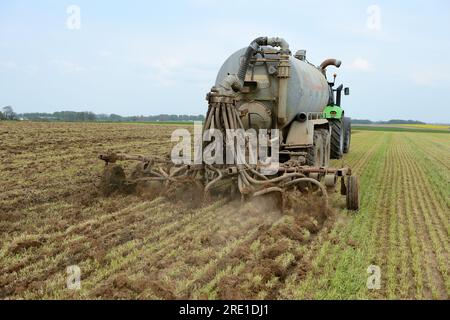 Spandimento di concime liquido su un campo di erba segata di recente, utilizzando una cisterna per liquami dotata di un coltivatore di terreno prima di arare e seminare mais. Foto Stock