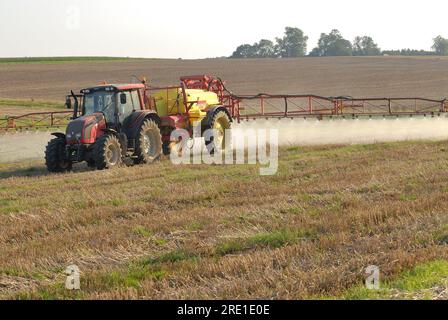 Trattamento fitosanitario su una parcella agricola, infestante: Irrorazione di Roundup, un erbicida a base di glifosato, su stoppia di grano per controllare il frumento r Foto Stock