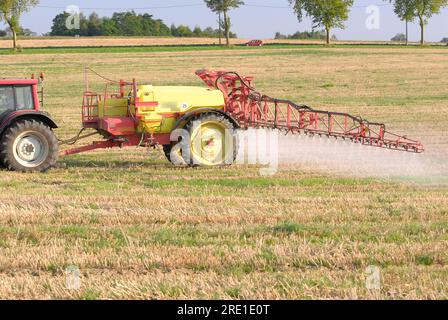 Trattamento fitosanitario su una parcella agricola, infestante: Irrorazione di Roundup, un erbicida a base di glifosato, su stoppia di grano per controllare il frumento r Foto Stock