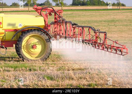 Trattamento fitosanitario su una parcella agricola, infestante: Irrorazione di Roundup, un erbicida a base di glifosato, su stoppia di grano per controllare il frumento r Foto Stock