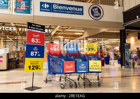 Ipermercato Carrefour a Mont Saint Aignan (Francia settentrionale): Confronto dei prezzi con tre carrelli della spesa pieni di una gamma di prodotti, il più economico Foto Stock