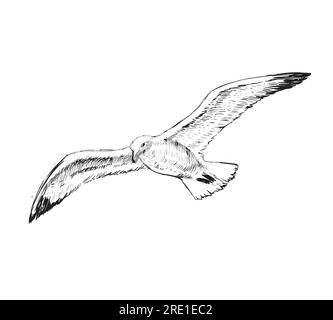 Flying Seagulls disegno manuale. Flying Seagulls disegno manuale Illustrazione Vettoriale