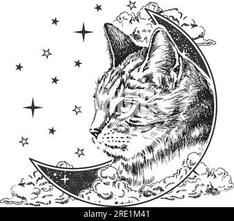 Animale boho con logo gatto Lunar e luna a mezzaluna Illustrazione Vettoriale