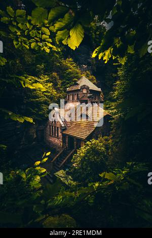 Buchenwald Serenity: Accattivante Hřensko, Cechia - Un paesaggio da cartolina Foto Stock