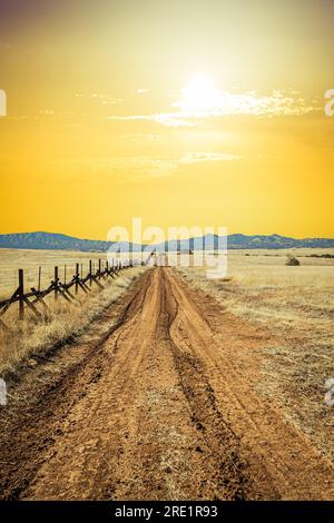 Una strada solitaria sterrata attraverso le praterie lungo il confine tra gli Stati Uniti e il Messico in Arizona. Foto Stock